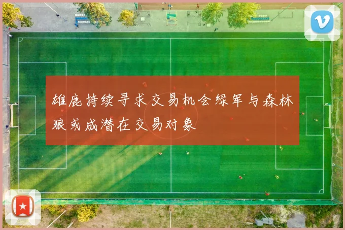 雄鹿持续寻求交易机会绿军与森林狼或成潜在交易对象